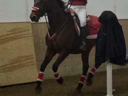 IMG_4011_web